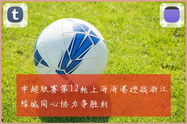 中超联赛第12轮上海海港迎战浙江绿城同心协力争胜利