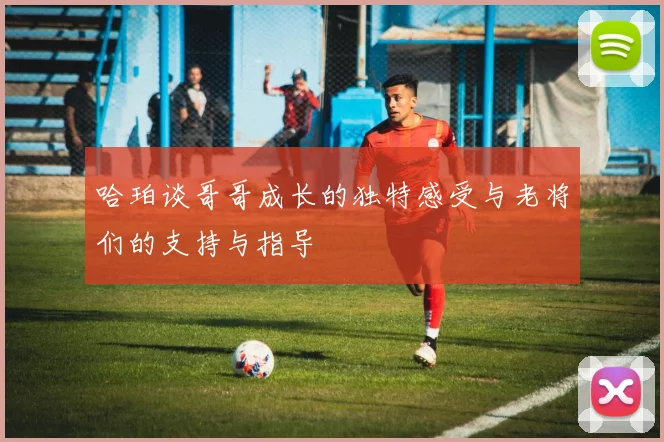 哈珀谈哥哥成长的独特感受与老将们的支持与指导